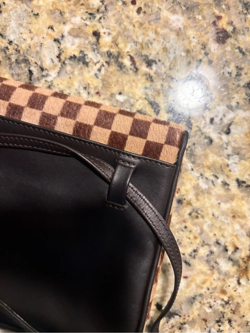 Louis Vuitton Damier Sauvage Gazelle shoulder bag